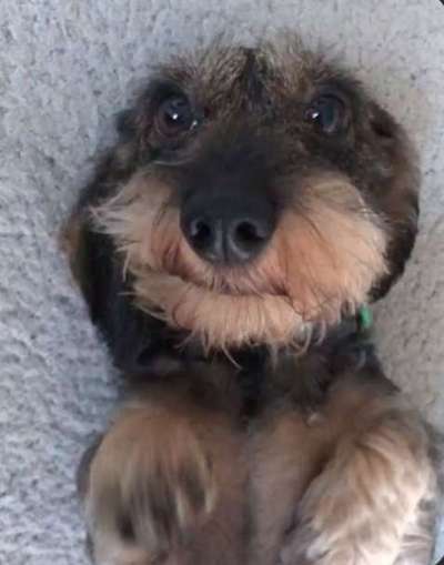 143. Fotochallenge: Ja, wo isser denn?-Beitrag-Bild