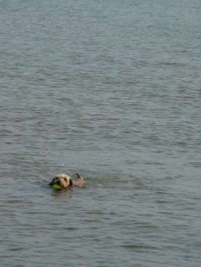 Fotochallenge No.97-Beitrag-Bild