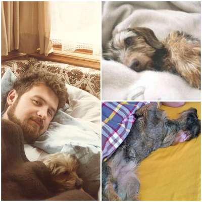 Gemeinsames Kuscheln im Bett!-Beitrag-Bild