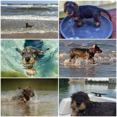 Eure schönsten Fotos mit Wasser-Beitrag-Bild