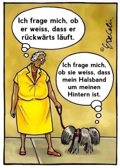 Hunde Memes-Beitrag-Bild