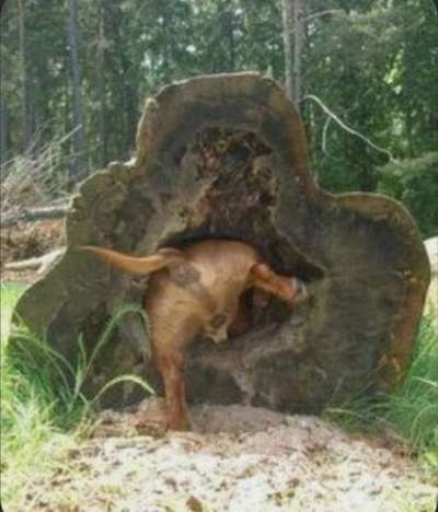 27. Handy Fotochallenge-Beitrag-Bild