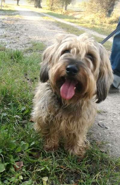 Lieblingsbild-Beitrag-Bild