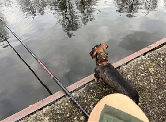 Foto-Challange No.1 - Alles aber nicht die Kamera-Beitrag-Bild