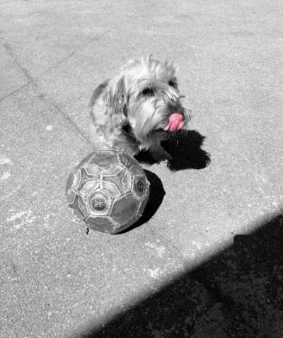 6. Farben Foto Challenge: "ColourKey Effekt"-Beitrag-Bild