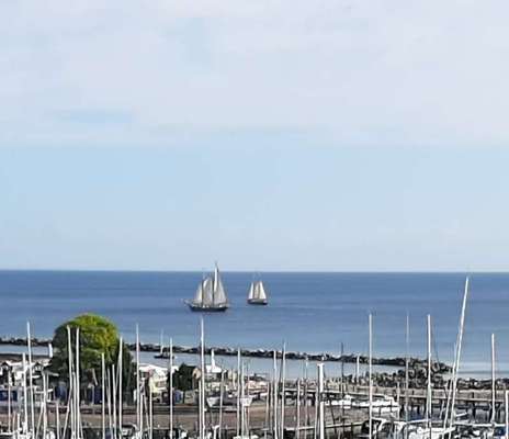 Ostsee mit Hund - Hundestrandnähe-Beitrag-Bild