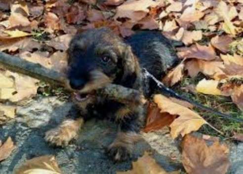 Herbst Bilder-Beitrag-Bild