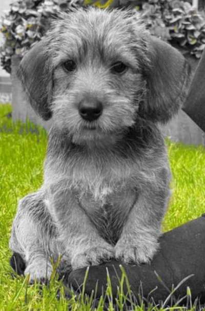 6. Farben Foto Challenge: "ColourKey Effekt"-Beitrag-Bild