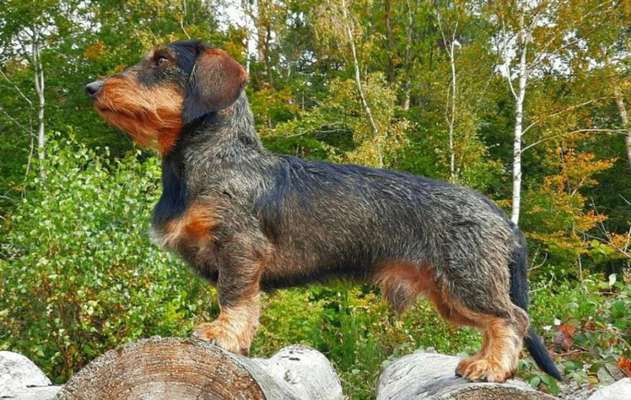 57. Handy Foto Challenge - klettern-Beitrag-Bild