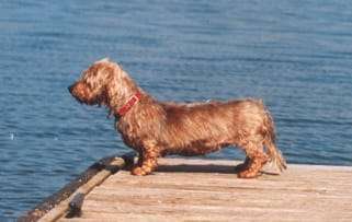 35. Handy Foto Challenge - Das nasse Element-Beitrag-Bild