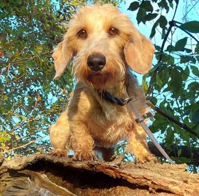 57. Handy Foto Challenge - klettern-Beitrag-Bild