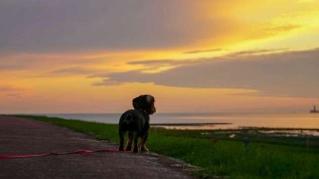 Sonnenaufgänge oder - untergänge-Beitrag-Bild