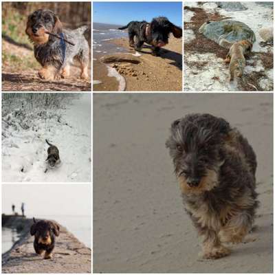 30. Collagen Challenge - Wege/Straßen-Beitrag-Bild