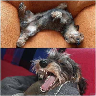 26. Handy Foto Challenge-Beitrag-Bild