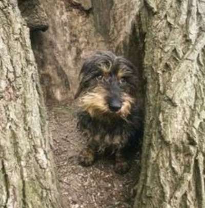 Ton in Ton-Beitrag-Bild