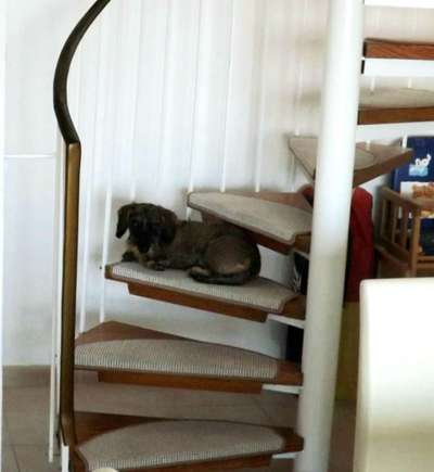 21. Handy-Foto-Challenge-Beitrag-Bild