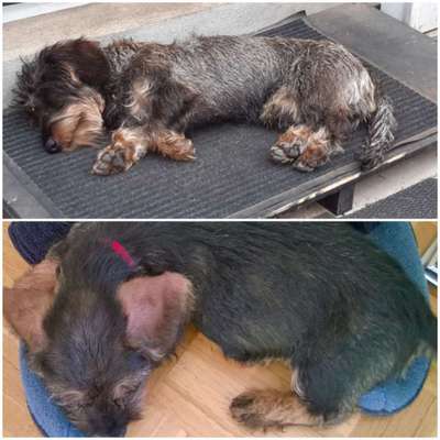 Ach, wie schnell die Zeit vergeht-Beitrag-Bild