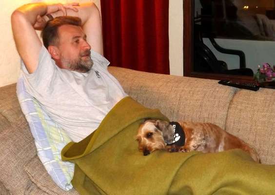 98.Fotochallange  - Hunde zeigen Zuneigung-Beitrag-Bild