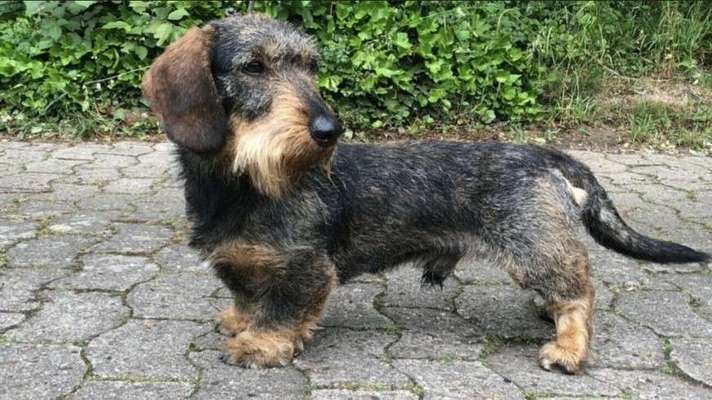 Zeigt eure Portraits-Beitrag-Bild