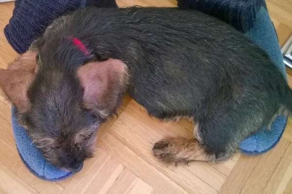 28. Handy-Fotochallenge - Damals und heute-Beitrag-Bild