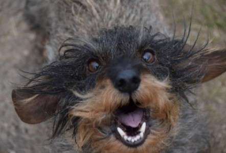 Handy-Foto Challange Nr. 10-Beitrag-Bild