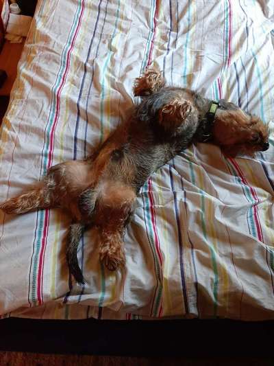 32. Farben Challenge  ** ( BUNTE ) STREIFEN **-Beitrag-Bild