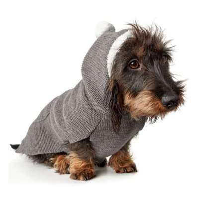 "Die eingefangene Magie des Augenblicks"-Beitrag-Bild