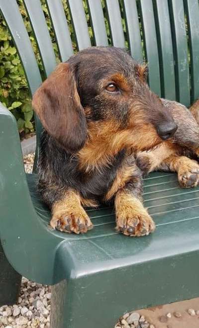 Farben Fotochallenge Thema ,,Grün"-Beitrag-Bild