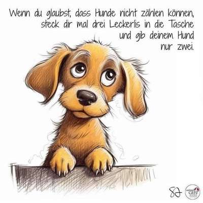 Hunde Memes-Beitrag-Bild