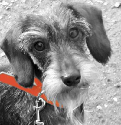 6. Farben Foto Challenge: "ColourKey Effekt"-Beitrag-Bild