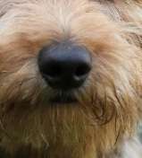 42. Handy Fotochallenge - Den richtigen Riecher haben-Beitrag-Bild