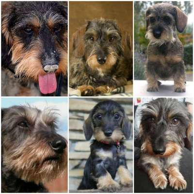 23. Collagen-Challenge: Portraits-Beitrag-Bild