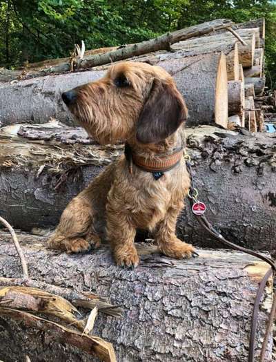 27. Handy Fotochallenge-Beitrag-Bild