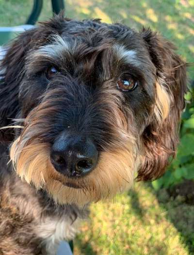 Nahaufnahme-Beitrag-Bild