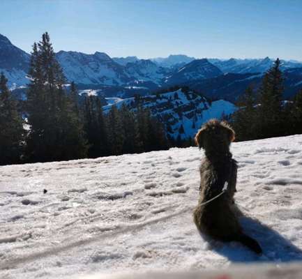 Fotochallenge Nr 107-Beitrag-Bild