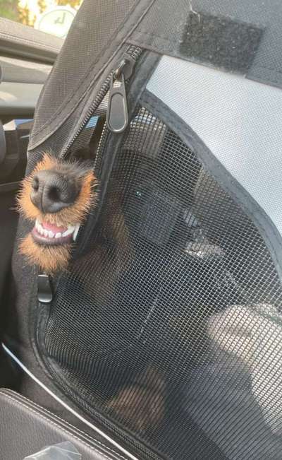 LUSTIGE FOTOS! WER KANN MITHALTEN?-Beitrag-Bild