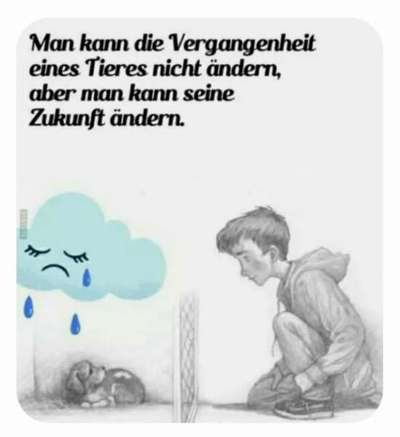 Hunde Memes-Beitrag-Bild