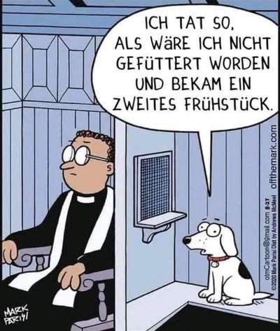 Hunde Memes-Beitrag-Bild