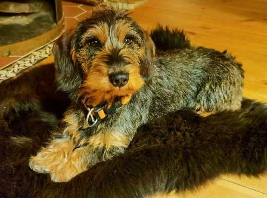 Lieblingsbild-Beitrag-Bild