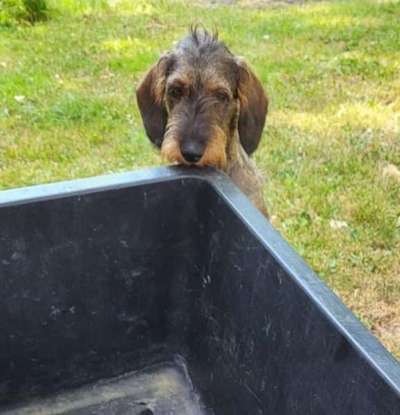 23. Handy Foto-Challenge-Beitrag-Bild