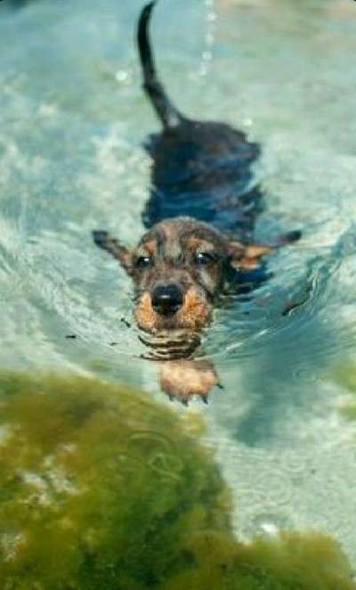 35. Handy Foto Challenge - Das nasse Element-Beitrag-Bild