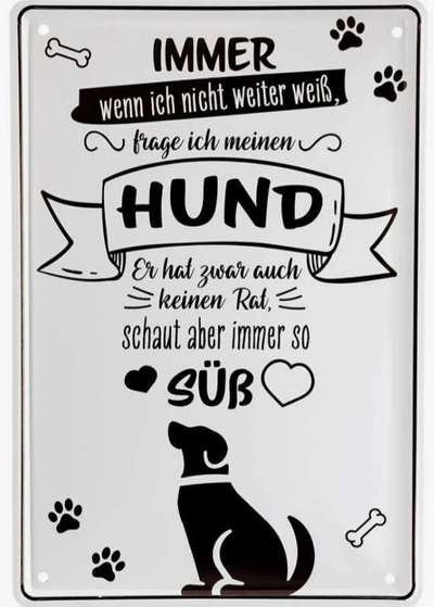Hunde Memes-Beitrag-Bild
