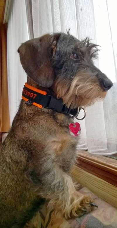 45. Handy - Foto - Challenge-Beitrag-Bild