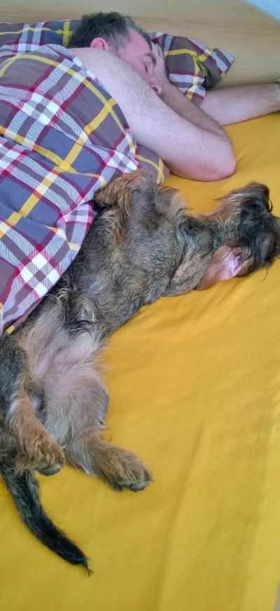 Vertrauen zwischen Hund und Halter-Beitrag-Bild