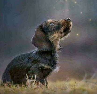 118. Fotochallange-Beitrag-Bild