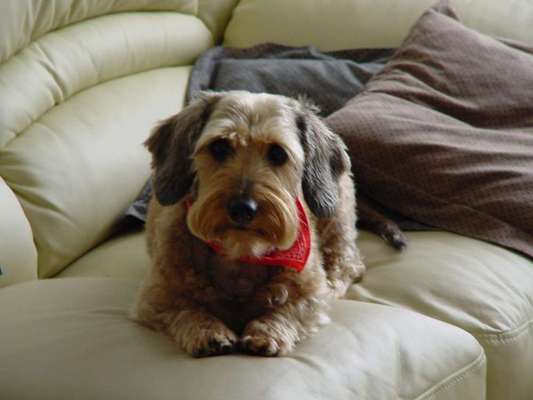 Zeigt eure Portraits-Beitrag-Bild