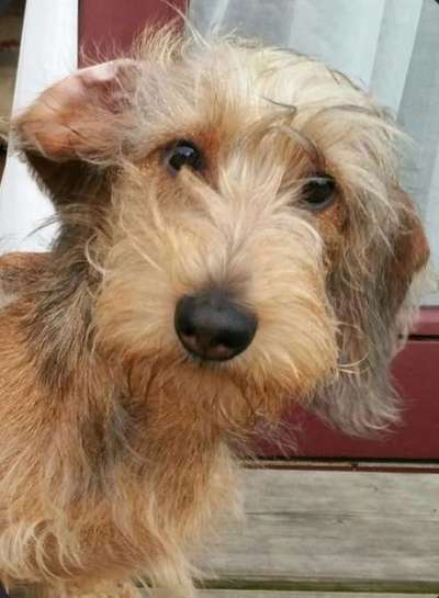 Lieblingsbild-Beitrag-Bild