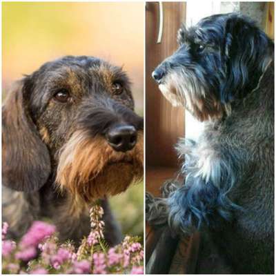 32. Collagen Challenge - eure liebsten gestellten Fotos-Beitrag-Bild