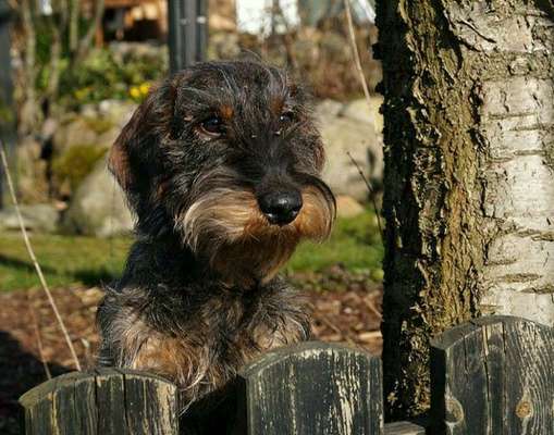 Fotochallenge 111: Endlich! Morgen kommt der Nikolaus..-Beitrag-Bild