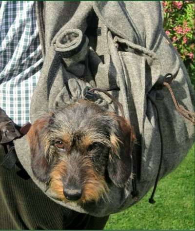 121. Fotochallenge-Beitrag-Bild